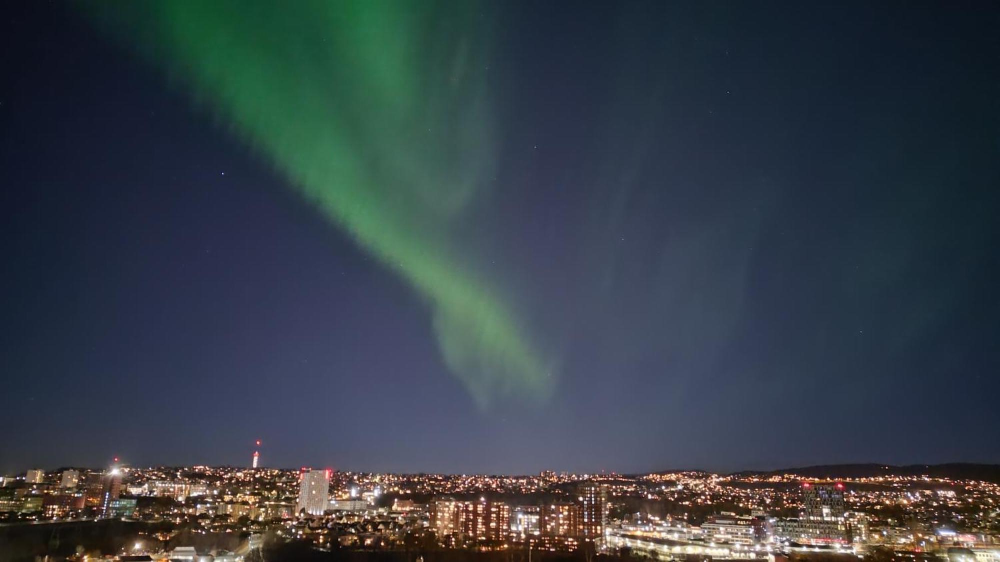 Adorable 1-Bedroom Apartment With A Fantastic View - Free Parking Trondheim Buitenkant foto